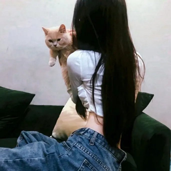 脱线冲天炮