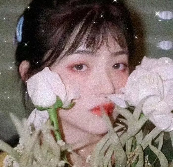 香港女伯爵
